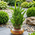 Architectural Zen: The Tiered Lucky Bamboo - Image 3