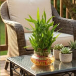 Architectural Zen: The Tiered Lucky Bamboo - Image 4