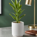 Refined Greenery: The Modern Bamboo Accent - Image 2