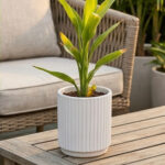 Refined Greenery: The Modern Bamboo Accent - Image 4