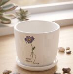 CD Premium Minimalist Ribbed Ceramic Planter with Matching Saucer - Image 2