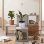Peace Lily in Geometric Ceramic