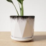 CD Premium | Monochrome Muse: Peace Lily in Geometric Ceramic - Image 3