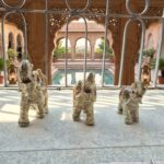 Imperial Majesty: Set of Three Elephant Figurines